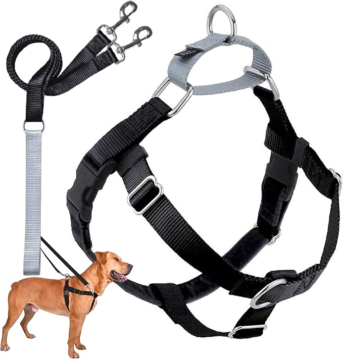 2 Hounds Design Freedom No Pull Dog Harness, Adjustable Harness and Leash Set, Easy Walking & Comfortable Control, Fits Small, Medium & Large Dogs, Solid Colors, Made in USA, 5/8" XS, Black