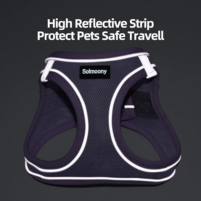Solmoony Sparkly Medium Dog Harness and Leash Set, Step in Soft Light Puppy Vest, Breathable Reflective Pet Harness for Walking, Puppy Harness for Medium Dogs Cats (Purple, M)