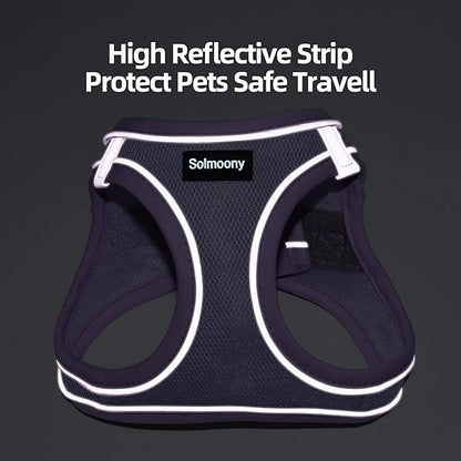 Solmoony Sparkly Medium Dog Harness and Leash Set, Step in Soft Light Puppy Vest, Breathable Reflective Pet Harness for Walking, Puppy Harness for Medium Dogs Cats (Purple, L)