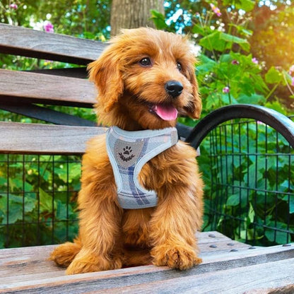PUPTECK Adjustable Dog Harness Collar and Leash Set Step in No Pull Pet Harness for Small Medium Dogs Puppy and Cats Outdoor Walking Running, Soft Mesh Padded Reflective Vest Harnesses, Blue M