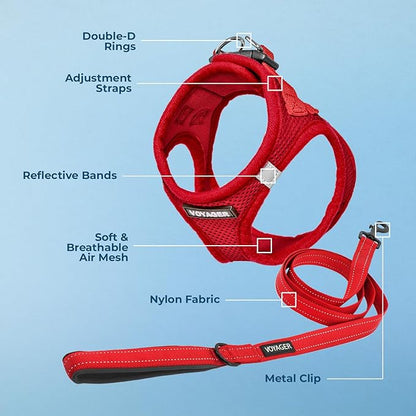Best Pet Supplies Voyager Step-in Air All Weather Mesh Harness and Reflective Dog 5ft Leash Combo with Neoprene Handle, for Small, Medium and Large Breed Puppies - Set (Red), Small