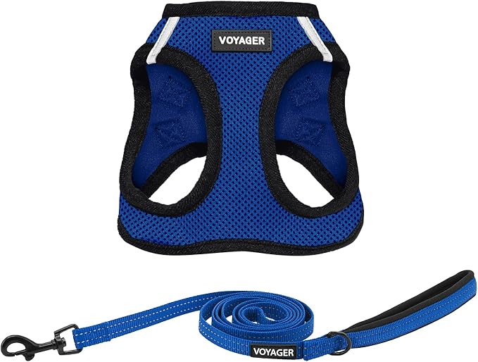 Best Pet Supplies Voyager Step-in Air All Weather Mesh Harness and Reflective Dog 5ft Leash Combo with Neoprene Handle, for Small, Medium and Large Breed Puppies - Set (Royal Blue/Black Trim), X-Small