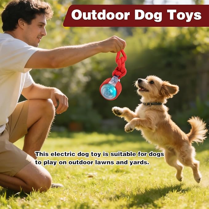 Muhhiba Interactive Dog Toy,Electric Dog Toy Can Move Freely,Rechargeable Dog Ball is Suitable for Use Both Indoors and Outdoors