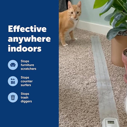 PetSafe ScatMat Indoor Training Mat