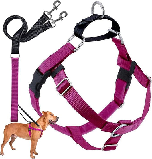 2 Hounds Design Freedom No Pull Dog Harness, Adjustable Harness and Leash Set, Easy Walking & Comfortable Control, Fits Small, Medium & Large Dogs, Solid Colors, Made in USA, 5/8" MD, Raspberry