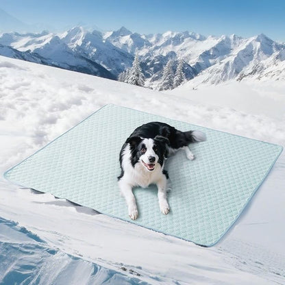 Soulbond Cooling Mat for Large Dogs - 40"x50" Washable Cooling Pad for Puppy, QMAX>0.3, Anti-Slip Bottom, Portable Summer Pet Cool Kennel Bed Pad for Outdoor/Indoor/Cars/Travel Use, Aqua Green