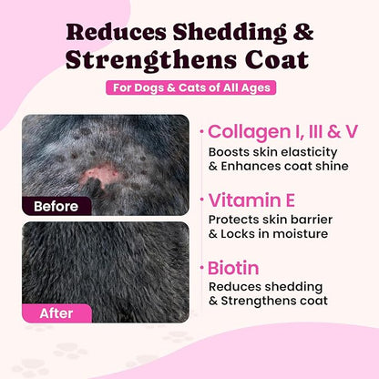 Premium Collagen for Dogs & Cats – 5 Types of Grass-Fed Collagen (I, II, III, V & X), Fast Allergy & Itch Relief Dog Colágeno with MSM, Biotin & Hyaluronic Acid – Supports Healthy Skin & Joints –120ml