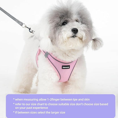 Solmoony Sparkly Small Dog Harness and Leash Set, Step in Soft Light Puppy Vest, Breathable Reflective Pet Harness for Walking, Puppy Harness for Small Dogs Cats (Pink, S)