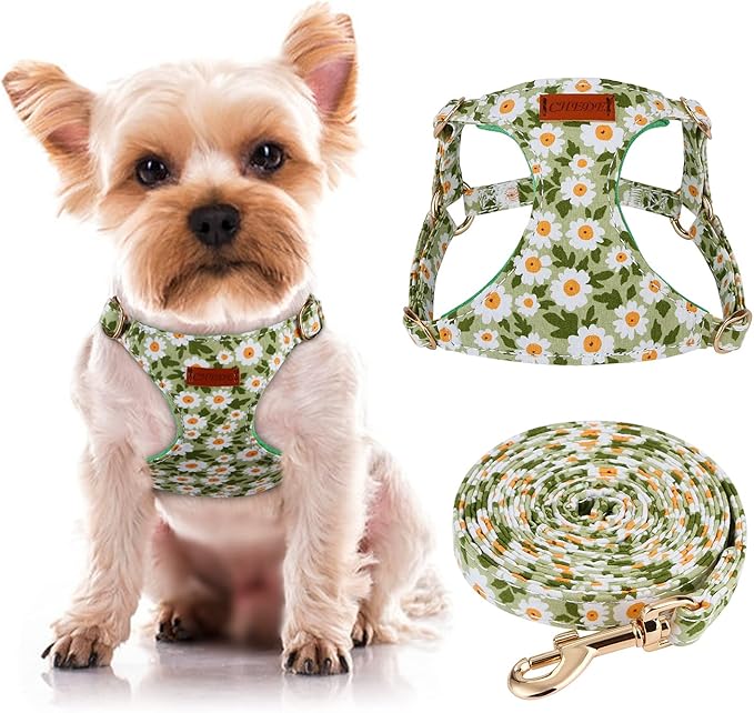 CHEDE No Pull Floral Pattern Dog Harness- Lightweight and Soft Harness, Adjustable Small Dog Harness and Leash Set, with Dog Leash, Suitable for Puppy Small and Medium-Sized Dog (XS, Green Daisy)