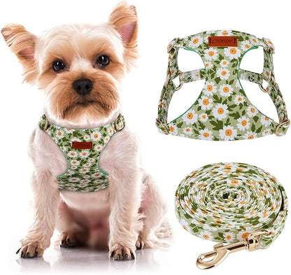 CHEDE No Pull Floral Pattern Dog Harness- Lightweight and Soft Harness, Adjustable Small Dog Harness and Leash Set, with Dog Leash, Suitable for Puppy Small and Medium-Sized Dog (XXS, Green Daisy)