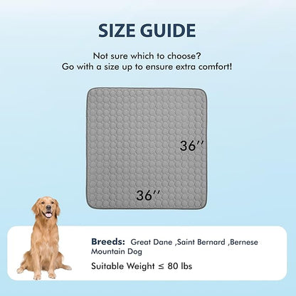 MICROCOSMOS Summer Cooling Mat & Sleeping Pad- Water Absorption Top, Materials Safe, Easy Carry, EZ Clean. Keep Cooling for Pets, Kids and Adults.(Drak Grey, 36" x36")