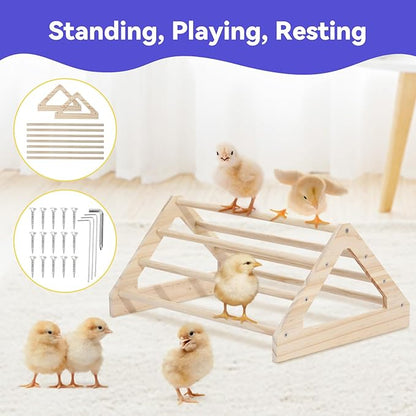 Pawaboo Chick Brooder Box for Chick Starter Kit, Brooder Pen/Chicken Supplies Brooders Box with Chicks Perch Brooding Up to 15 Chicks, Duck and Quail, Red+Black