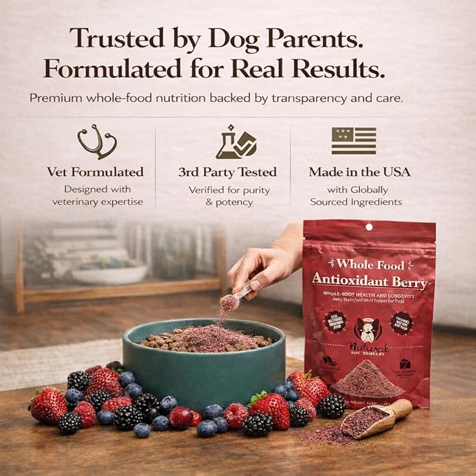 Natural Dog Company Dog Food Topper, Antioxidant Berry Vitamins & Superfood Meal Topper Supplement, Holistic Nutrition, Dog Food Seasoning, Immune Support, All Breeds, Ages, & Sizes of Dogs, 8oz Bag