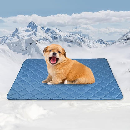 Tuiskusa Premium Cooling Blanket for Dogs Pet Cooling Pads Washable Pet Cool Mat for Cats Hot Weather Puppy Lightweight Throw Calming Pad(22x28 inches)