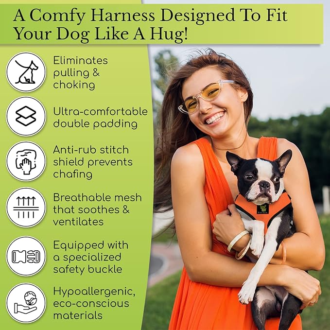 EcoBark Dog Harness - Luxurious Soft Mesh - Eco-Friendly Over the Head Vest Harness - No Pull & No Choke Design - Padded Breathable Body Halter - for Puppy, Toy, and Small Breeds (Red, Small)
