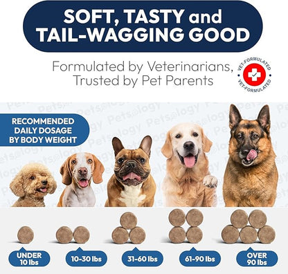 (2 Pack) Probiotics for Dogs - 340 Dog Probiotics Chews - Digestive Enzymes & Prebiotics - Support Gut Health, Diarrhea, Gas & Constipation Relief - Itchy Skin, Allergies - Advanced Supplement