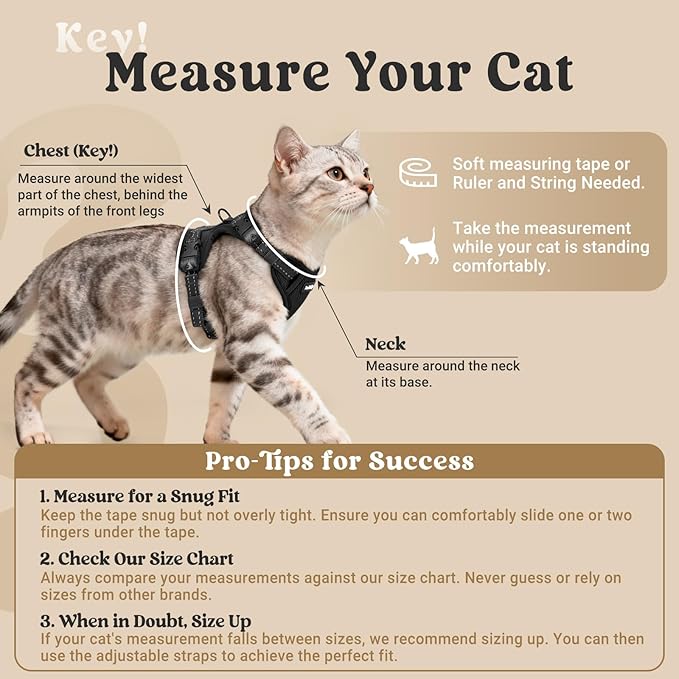 rabbitgoo Cat Harness and Leash, Escape Proof Vest with 3 Adjustable Buckles, Soft Comfortable Kitten Harness, Easy to Wear, Reflective for Safe Outdoor Walking, XS, Black