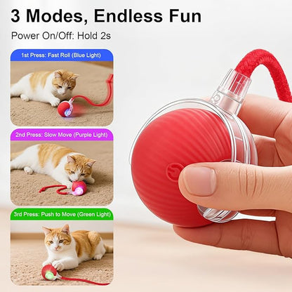 Interactive Electric Automatic Rolling Moving USB Rechargeable Self Activated Play Stimulation Toy Smart Chase Teaser Ball with Speedy Tail Rope for Bored Adult Indoor Cats and Dogs, Green