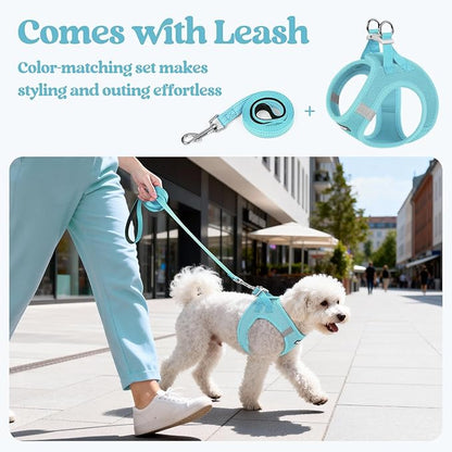 rabbitgoo Dog Harness Medium Sized and Leash Set, Step in Soft Light Puppy Vest, Breathable Mesh Pet Harness, Reflective for Safe Easy Walking, Mint Blue XXL