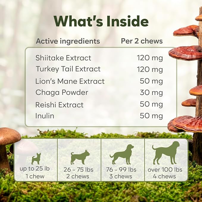 Premium Mushroom Chews for Dogs - 5-in-1 Turkey Tail, Lion’s Mane, Chaga, Reishi & Shiitake - Immune Support & Cognitive Health Mushroom Supplement for Dogs - for Heart, Liver & Brain Function
