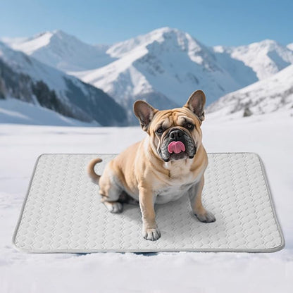 Soulbond Cooling Mat for Medium Dogs - 29"x40" Washable Cooling Pad for Dogs & Cats, QMAX>0.3, Anti-Slip Bottom, Portable Summer Cool Pet Bed Pad for Outdoor/Indoor/Cars/Travel Use, Light Gray