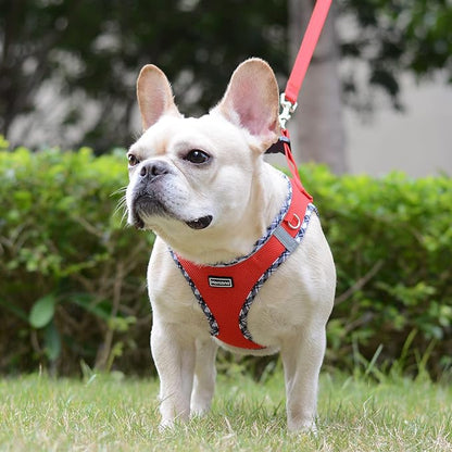 Mercano Soft Mesh Dog Harness and Leash Set, No-Chock Step-in Reflective Breathable Lightweight Easy Walk Vest Harnesses with Safety Buckle for Small Dogs, Cats (Red, XXS)