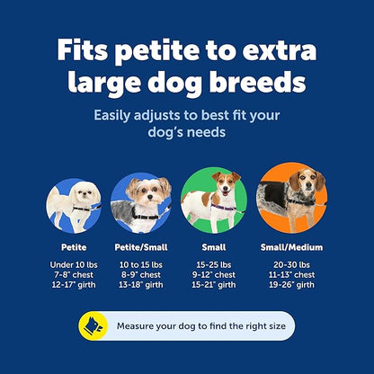 PetSafe Easy Walk No-Pull Dog Harness - The Ultimate Harness to Help Stop Pulling - Take Control & Teach Better Leash Manners - Helps Prevent Pets Pulling on Walks, Petite, Black/Silver