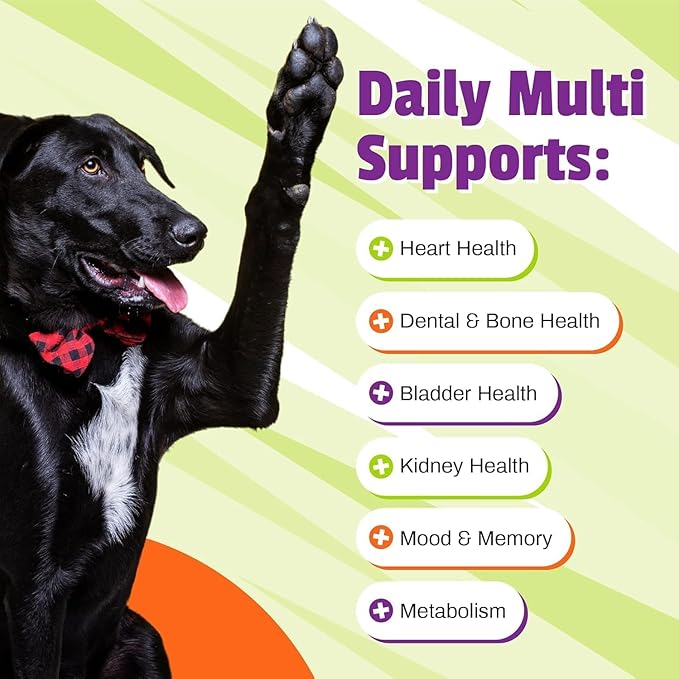 Pet Naturals Daily Multivitamin for Dogs, Veggie Flavor, 300 Chews - Yummy Chews with Amino Acids, and Antioxidants - Supports Energy, Metabolic Function and Pet Wellness
