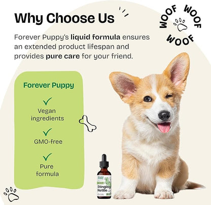 Forever Puppy Stinging Nettle Leaf for Dogs - Itchy Skin Relief for All Breeds & Sizes - Liquid Dog Food Supplements for Irritation & Itching - Skin and Coat Supplement - Sugar & Alcohol-Free - 2 oz