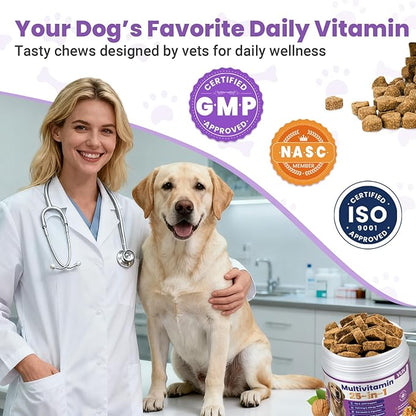 Dog Multivitamin 25 in 1 Dogs Vitamins Supplements Treats Chewable for Pet Omega-3 Glucosamine Vitamin for Puppy Supplies Skin Coat, Heart, Hips & Joints, Digestion & Immune System 100pcs