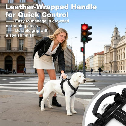 No Pull Dog Harness with Handle, Soft Mesh Padded Adjustable for Small Medium Large Dogs | Reflective Easy Walk Harness with Front Clip for Training, Running & Outdoor (Black, XS)