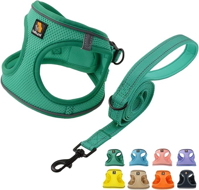 BELLA & PAL Step in Vest Harness for Small and Medium Dogs, No Pull Small Dog Harness with Leash Set, Comfortable Air Mesh Dog Vest Harness with Reflective Strip (Emerald, XXS)