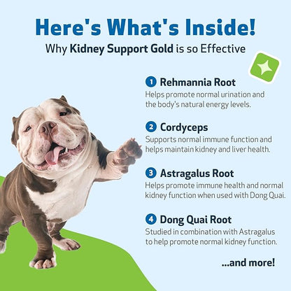 Pet Wellbeing Kidney Support Gold for Dogs - Supports Healthy Kidney Function, Fluid Balance, Energy Levels, Rehmannia, Dong Quai - Veterinarian-Formulated Herbal Supplement 2 oz (59 ml)