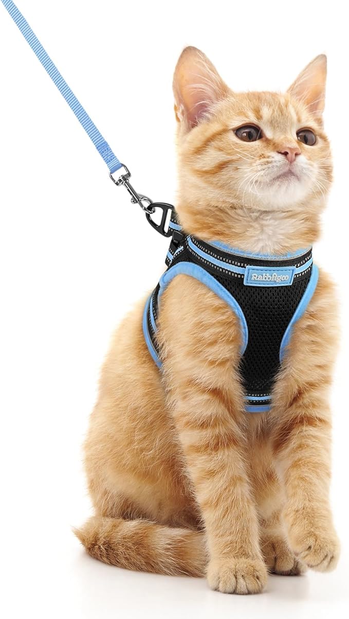 rabbitgoo Cat Harness and Leash Set for Walking Escape Proof, Adjustable Soft Kittens Vest with Reflective Strip for Cats, Comfortable Outdoor Vest, Black & Light Blue, M