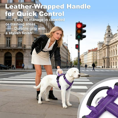 No Pull Dog Harness with Handle, Soft Mesh Padded Adjustable for Small Medium Large Dogs | Reflective Easy Walk Harness with Front Clip for Training, Running & Outdoor (Purple, XL)
