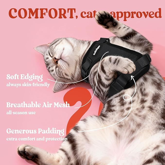 rabbitgoo Cat Harness and Leash for Walking, Escape Proof Soft Adjustable Vest Harnesses for Cats, Easy Control Breathable Reflective Strips Jacket, Black, XS