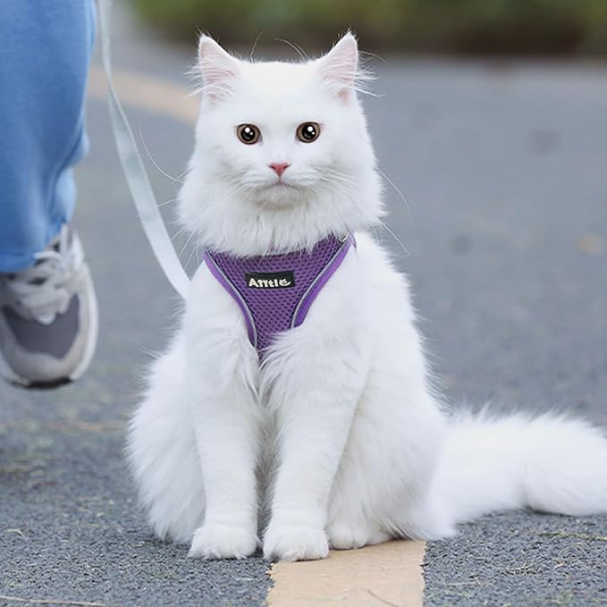 AIITLE Easy Walk Dog Harness and Leash Set - Pet Supply No Pull, Step in Adjustable Pet Harnesses with Padded Vest for Summer, No Choke Over, Easy to Put on Medium Dogs Pure Purple L