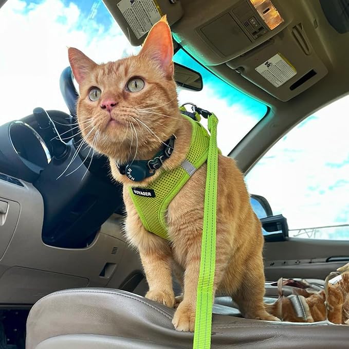 Best Pet Supplies Voyager Step-in Air All Weather Mesh Harness and Reflective Dog 5ft Leash Combo with Neoprene Handle, for Small, Medium and Large Breed Puppies - Set (Lime Green), XX-Small