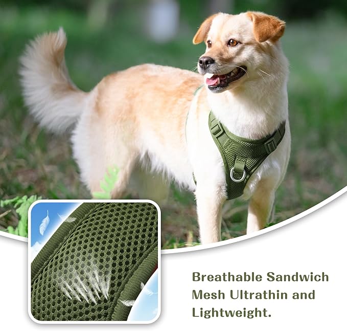 No Pull Dog Harness for Small Medium Large Dogs - Adjustable 2 Layer Mesh Dog Vest with Dual Clip, Escape Proof, Quick Release, Lightweight Breathable Mesh for Walking Hiking (Misty Green,M)