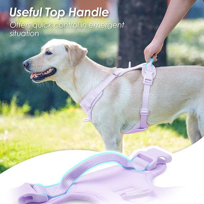 No Pull Dog Harness, Puppy Vest with Front Clip for Small Medium Large Sized Dog(Light Purple,M)