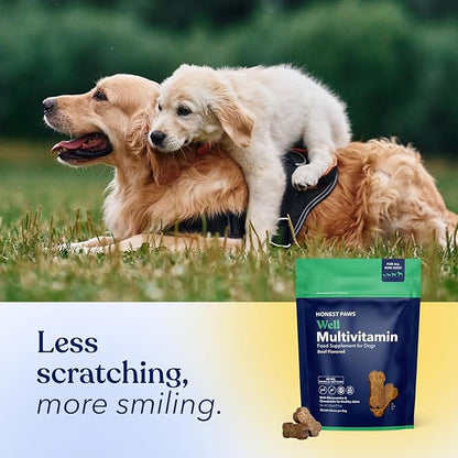 Honest Paws (90 Count) Dog Multivitamin Soft Chews with 10 Essential Vitamins - Joint, Coat, Immune, Eye & Heart Support - with Glucosamine, Chondroitin & Omega-3 - Beef Flavor (Pack of 2)