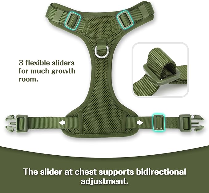 No Pull Dog Harness for Small Medium Large Dogs - Adjustable 2 Layer Mesh Dog Vest with Dual Clip, Escape Proof, Quick Release, Lightweight Breathable Mesh for Walking Hiking (Misty Green,S)