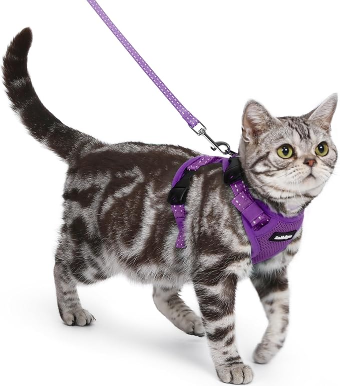 rabbitgoo Cat Harness and Leash, Escape Proof Vest with 3 Adjustable Buckles, Soft Comfortable Kitten Harness, Easy to Wear, Reflective for Safe Outdoor Walking, Small, Purple