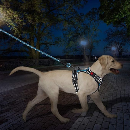 PoyPet Dog Harness and Leash Combo, Escape Proof No Pull Vest Harness, with 5 Feet Leash, Reflective Adjustable Soft Padded Pet Harness with Handle for Small to Large Dogs(Blue,S)