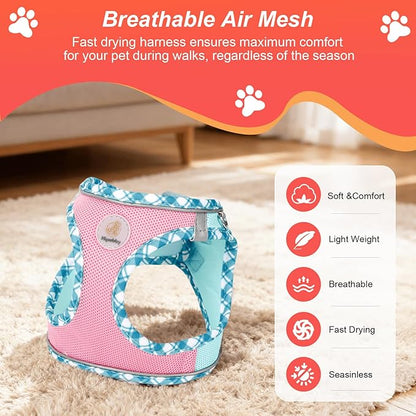 Hipubby Dog Harness Small Sized and Leash Set, No Pull Soft Mesh Puppy Vest, Reflective Breathable Lightweight Pet Harness, Harness for Small Medium Dogs and Cats - Pink Green, XXS