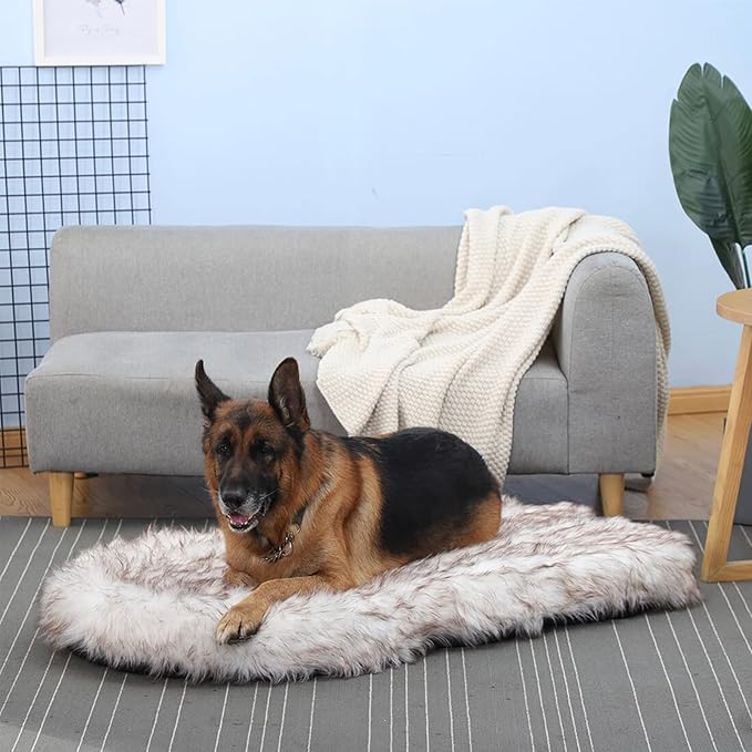 Laifug Luxury Faux Fur Orthopedic Dog Bed, Memory Foam Dog Bed, Suitable for Medium, Large and Extra Large Pets, Waterproof, Removable and Washable Cover (White with Brown Piping, 50x30 inches)