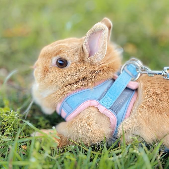 Rabbit Harness and Leash Set Escape Proof, Adjustable Soft Padded Vest, Breathable Mesh Bunny Harness with Reflective Strap, Safe for Small Animals(Orange,S)