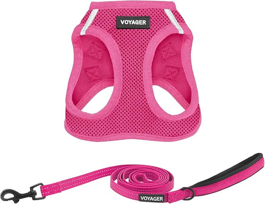 Best Pet Supplies Voyager Step-in Air All Weather Mesh Harness and Reflective Dog 5ft Leash Combo with Neoprene Handle, for Small, Medium and Large Breed Puppies - Set (Fuchsia), Medium