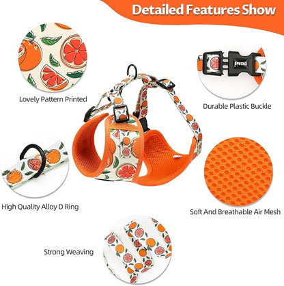Small Dog Harness and Leash Set of 6, No Pull Soft Lightweight Mesh Puppy Harness， Adjustable Cute Floral Pattern Pet Harness for Small Medium Dogs (Orange, XS)