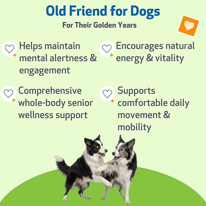 Pet Wellbeing Old Friend for Senior Dogs - Supports Immune System Health, Joint Mobility, Healthy Energy Levels, Alfalfa, Reishi - Veterinarian-Formulated Herbal Supplement 2 oz (59 ml)